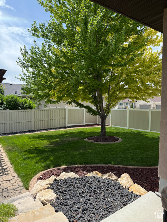 View of fenced backyard