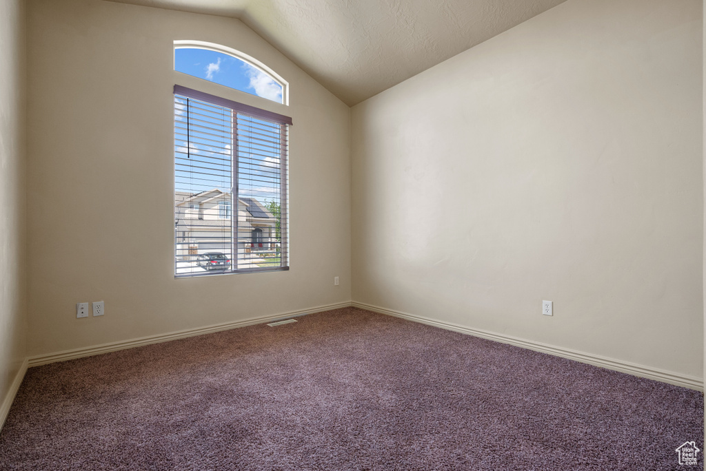 Spare room with lofted ceiling, plenty of natural light, and carpet flooring