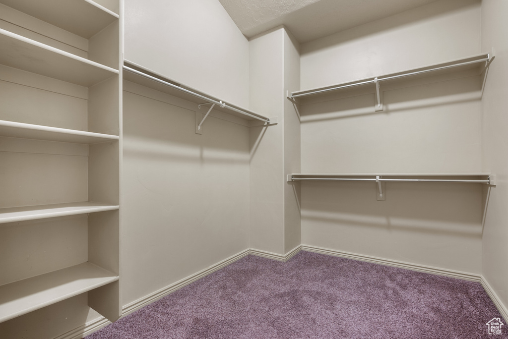 Spacious closet with carpet flooring