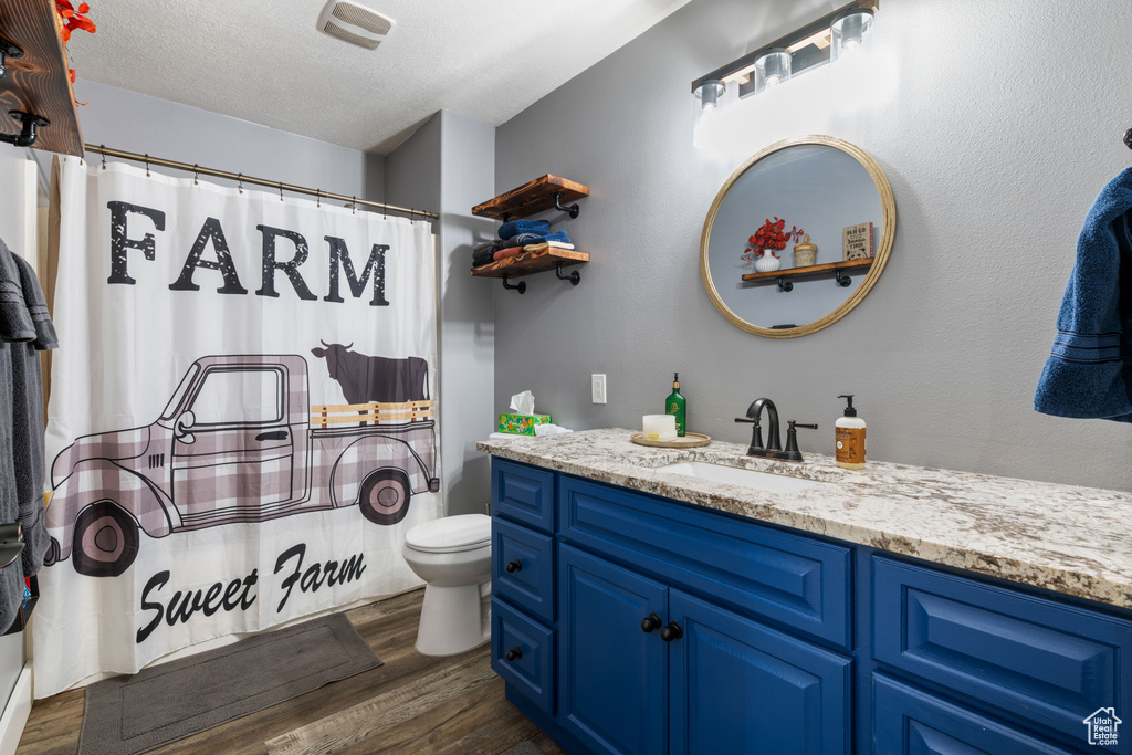 Bathroom featuring wood finished floors, vanity, a textured ceiling, and a shower with shower curtain