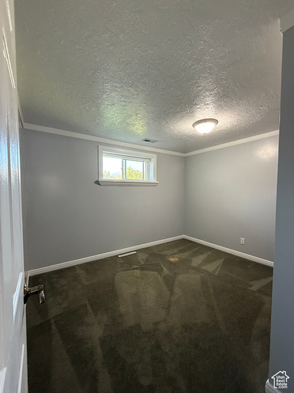 Carpeted spare room with crown molding and a textured ceiling