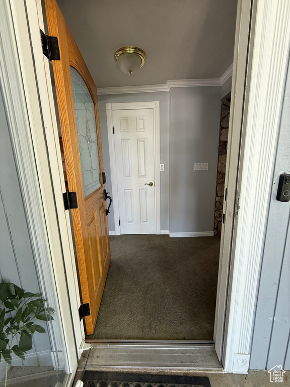 Hallway with crown molding and carpet