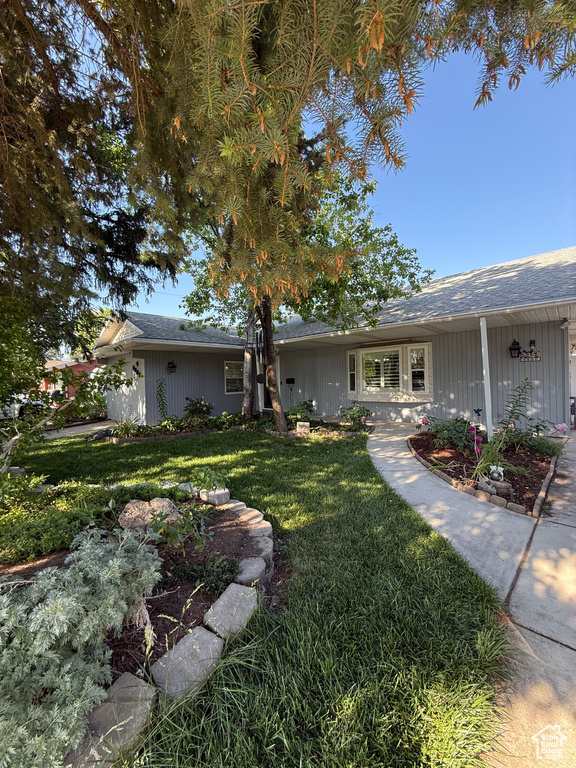 Ranch-style home featuring a front yard and a shingled roof