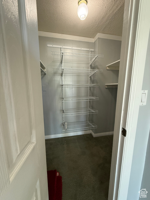 Spacious closet with carpet floors