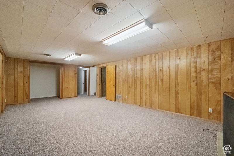 Finished basement featuring wooden walls and carpet floors