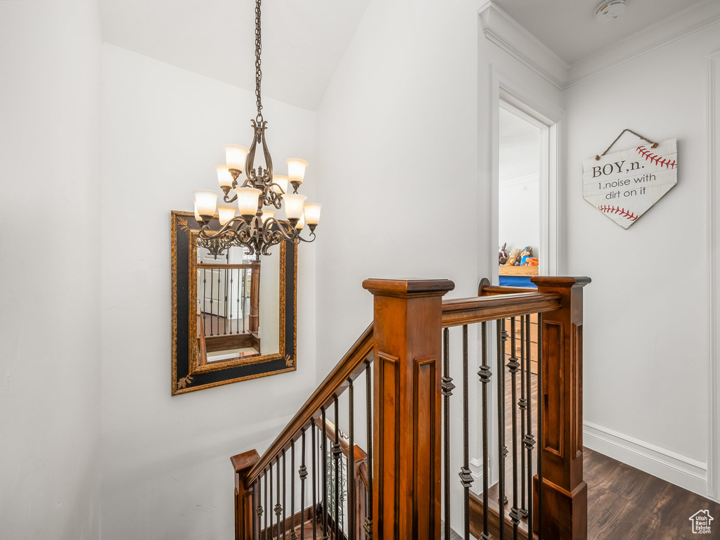 Staircase with a chandelier and wood finished floors