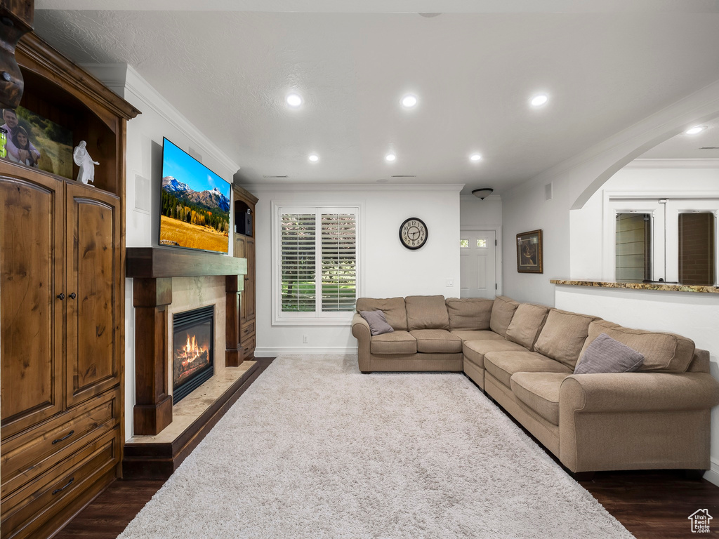 Living area with crown molding, a large fireplace, dark wood finished floors, recessed lighting, and arched walkways