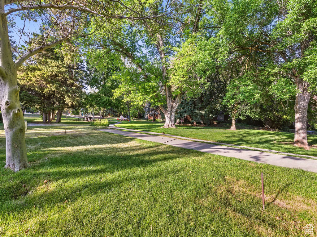 Surrounding community featuring a yard