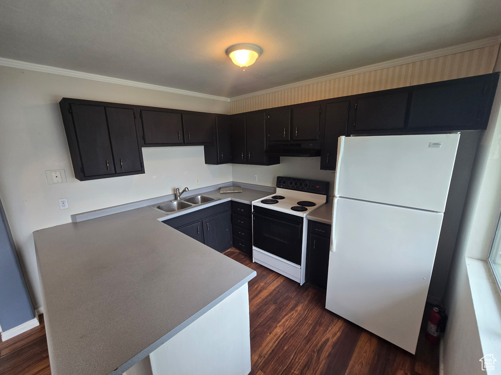 Kitchen with freestanding refrigerator, electric range oven, under cabinet range hood, dark cabinetry, and dark wood-style flooring