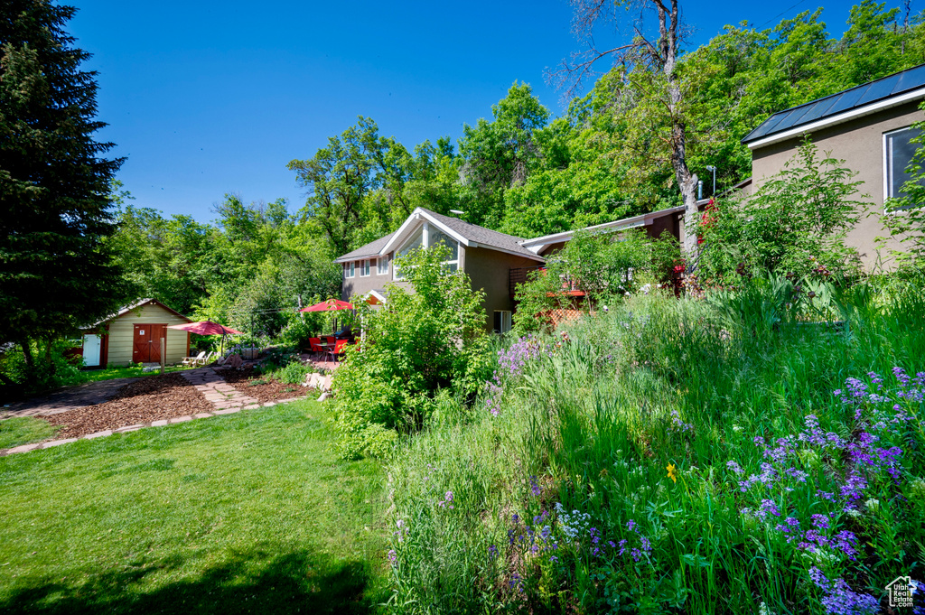 View of grassy yard with a shed and view of wooded area