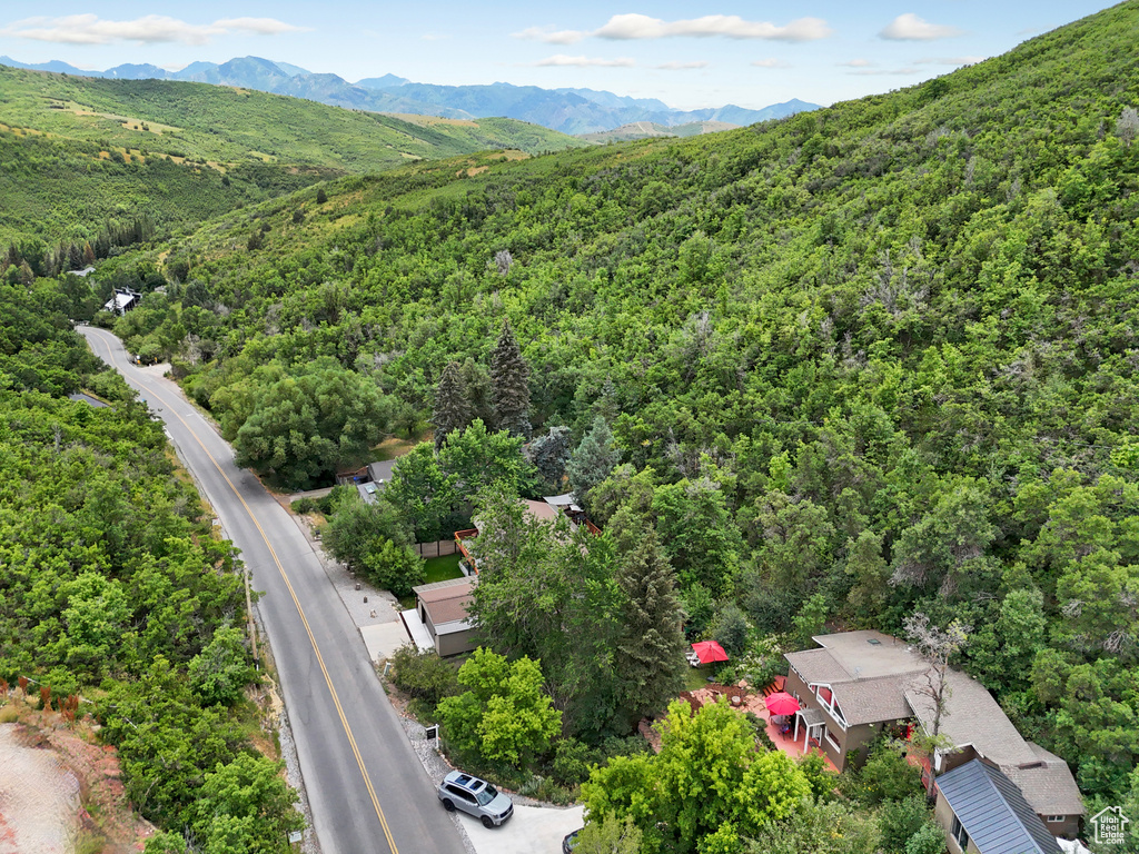 Photo 33 for MLS #2092722 at 1155 N Pinecrest Canyon Rd