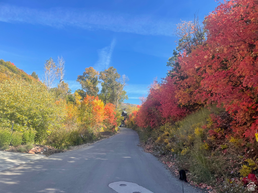 View of asphalt road featuring a wooded view
