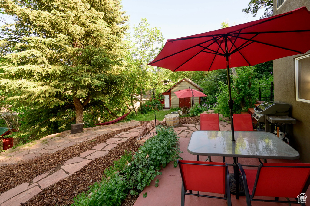 View of patio featuring outdoor dining space, grilling area, and an outdoor structure