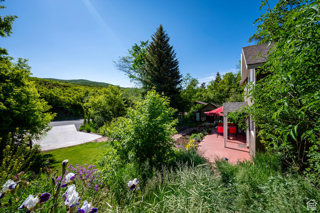 View of yard featuring a patio