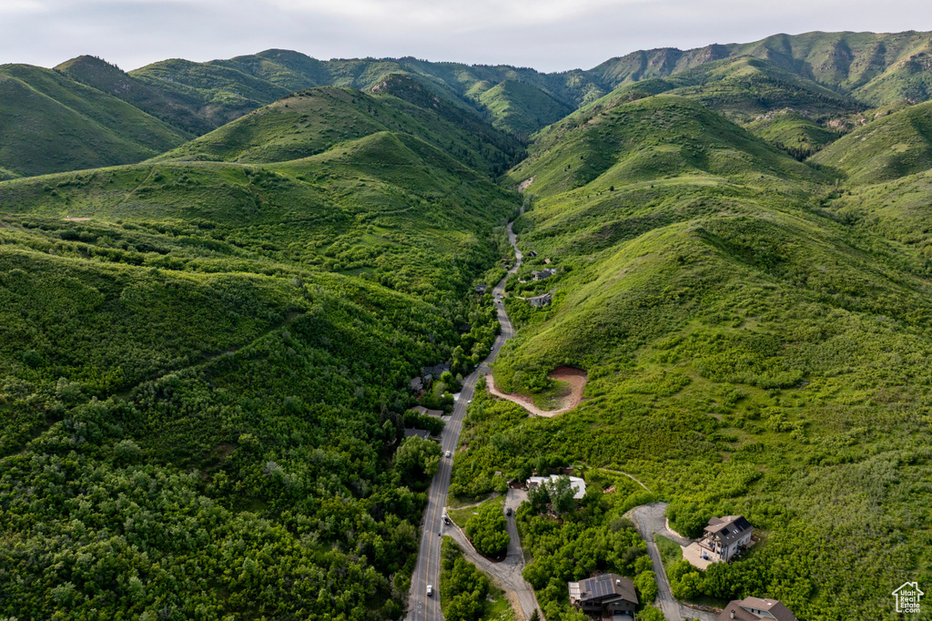 View of mountain background featuring a heavily wooded area