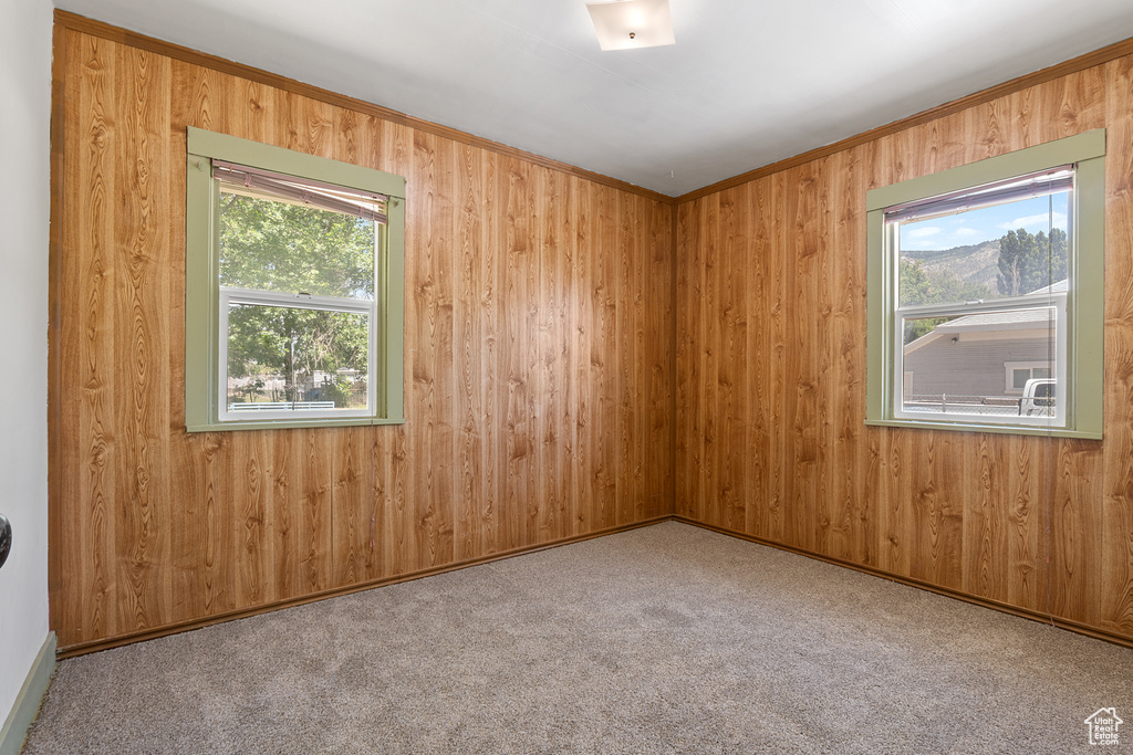 Empty room with wooden walls and carpet floors