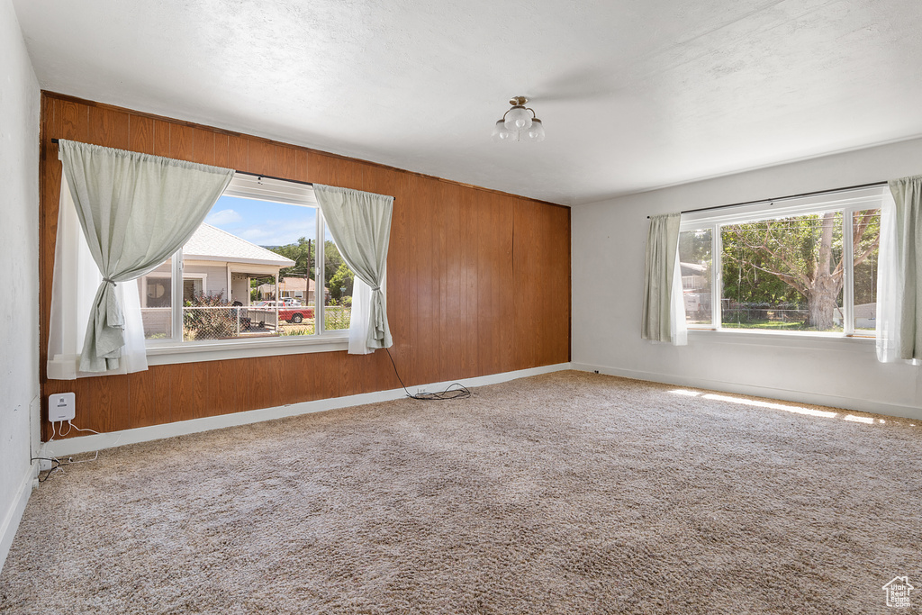 Empty room with plenty of natural light, wood walls, and carpet flooring
