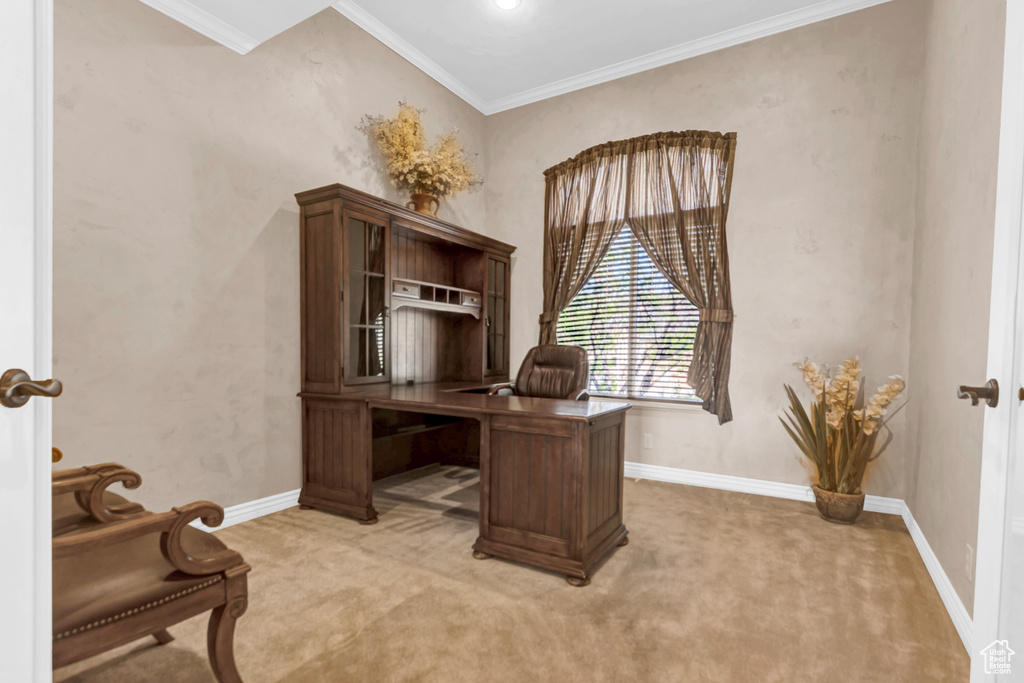 Office space featuring light colored carpet and ornamental molding