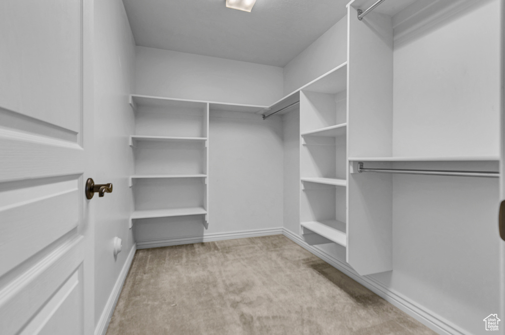 Spacious closet featuring carpet flooring
