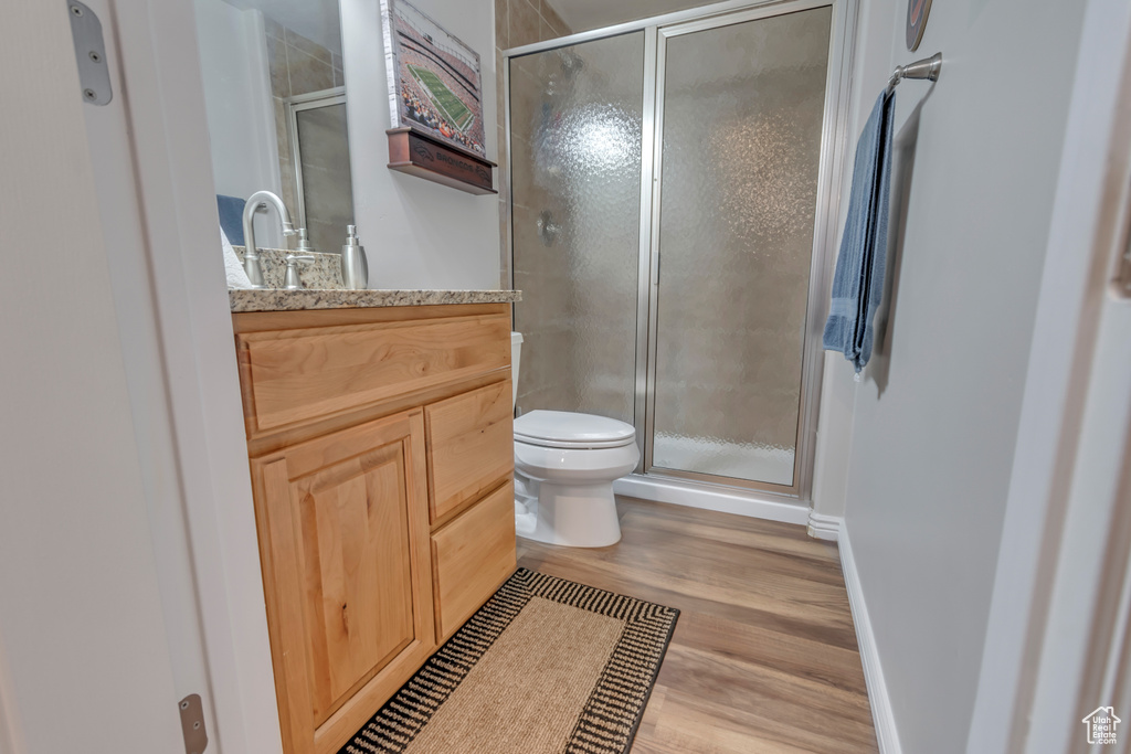 Bathroom with vanity, wood finished floors, and a stall shower