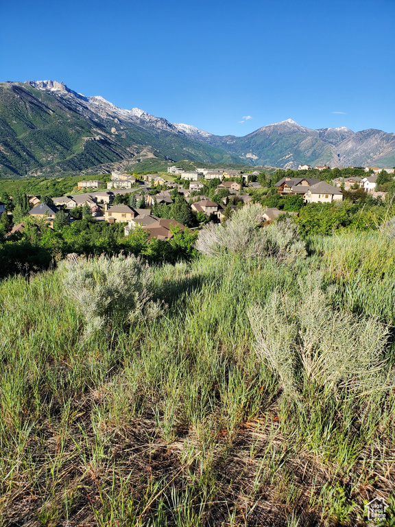 View of mountain background featuring nearby suburban area