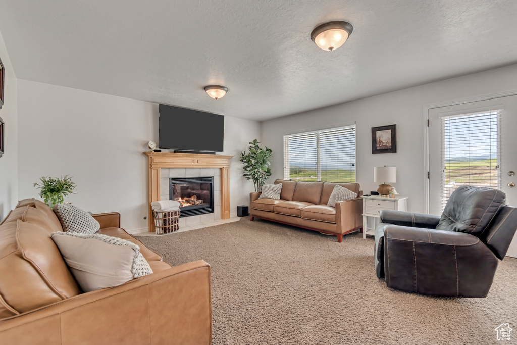 Living room with a fireplace, carpet flooring, healthy amount of natural light, and a textured ceiling