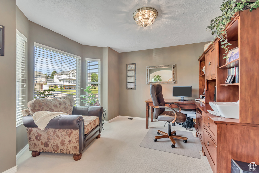 Home office with carpet flooring and a textured ceiling