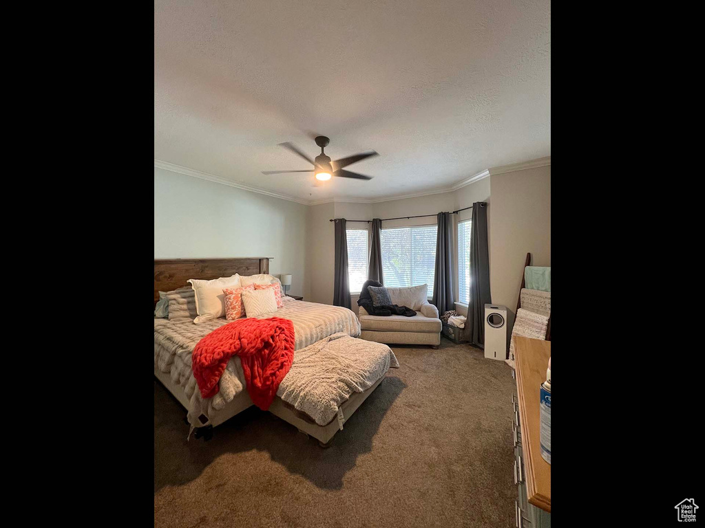 Carpeted bedroom with ornamental molding, ceiling fan, and a textured ceiling