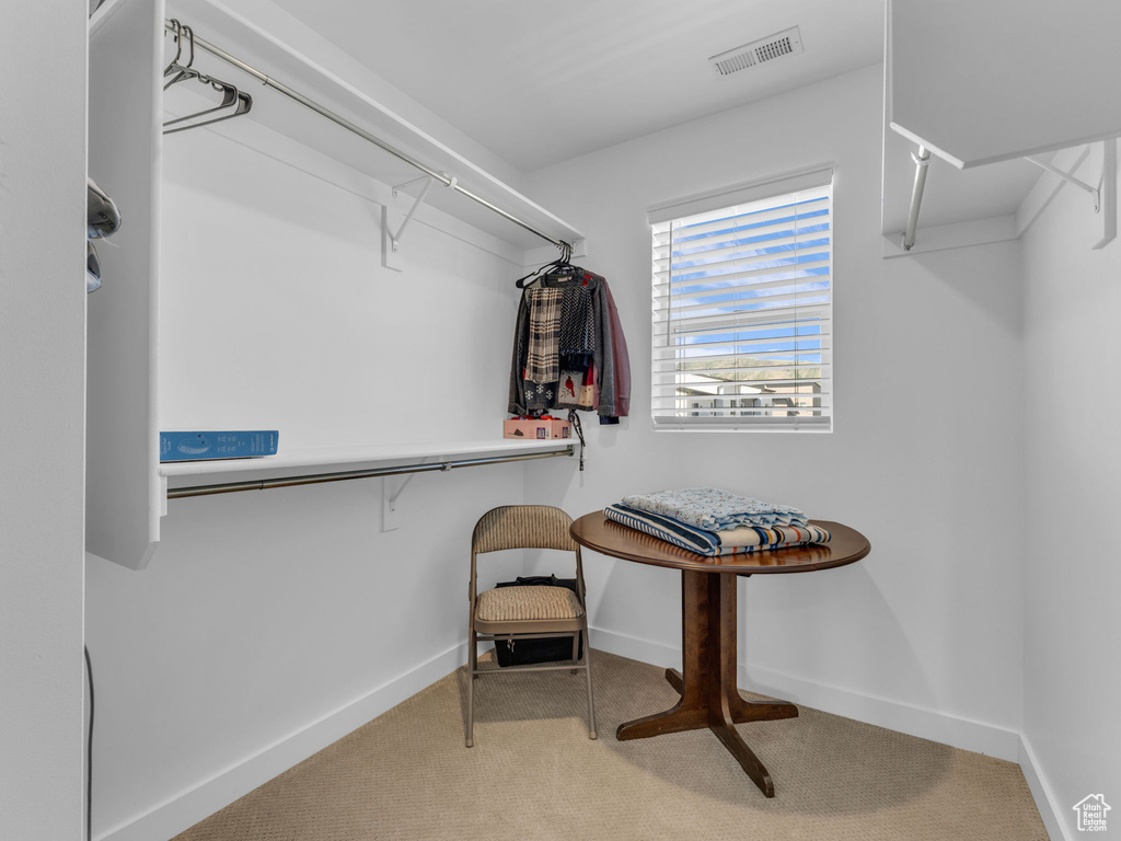 Spacious closet featuring carpet floors