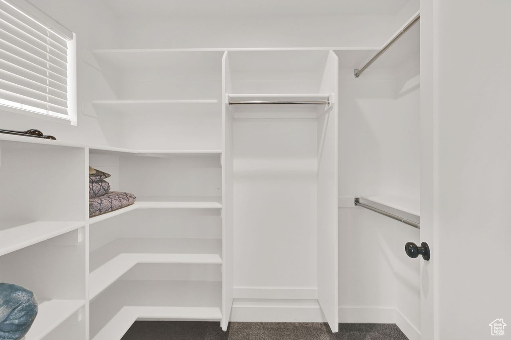 Walk in closet featuring carpet