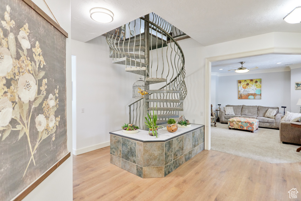 Foyer entrance with stairs, wood finished floors, a ceiling fan, and ornamental molding