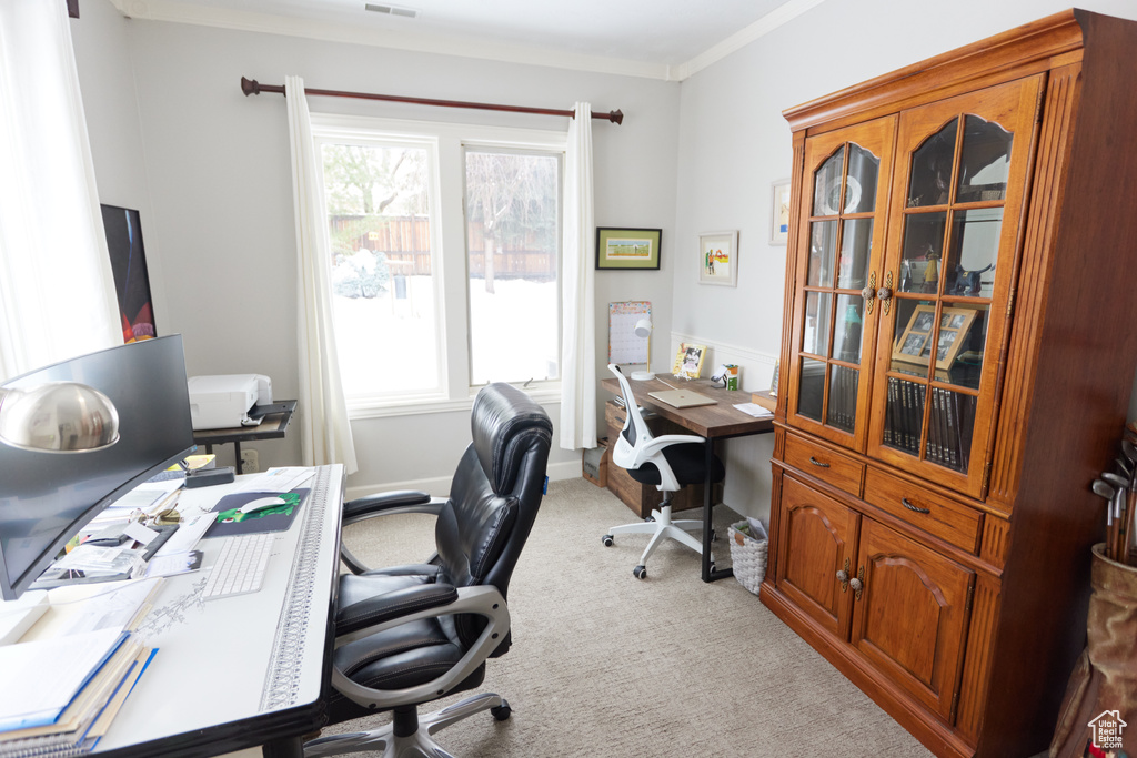 Office with plenty of natural light, light colored carpet, and ornamental molding