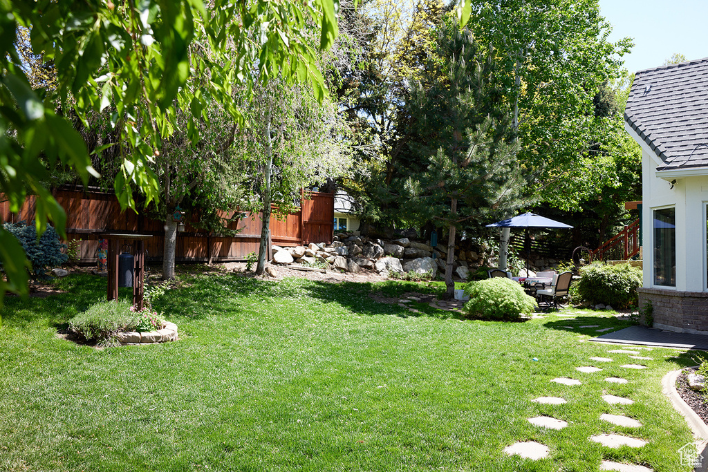 View of yard