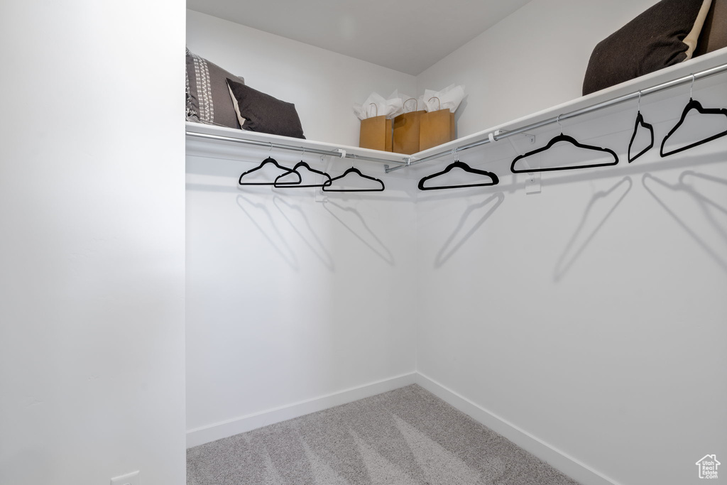 Walk in closet featuring carpet flooring