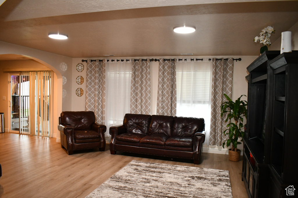 Living area with arched walkways and light wood-type flooring