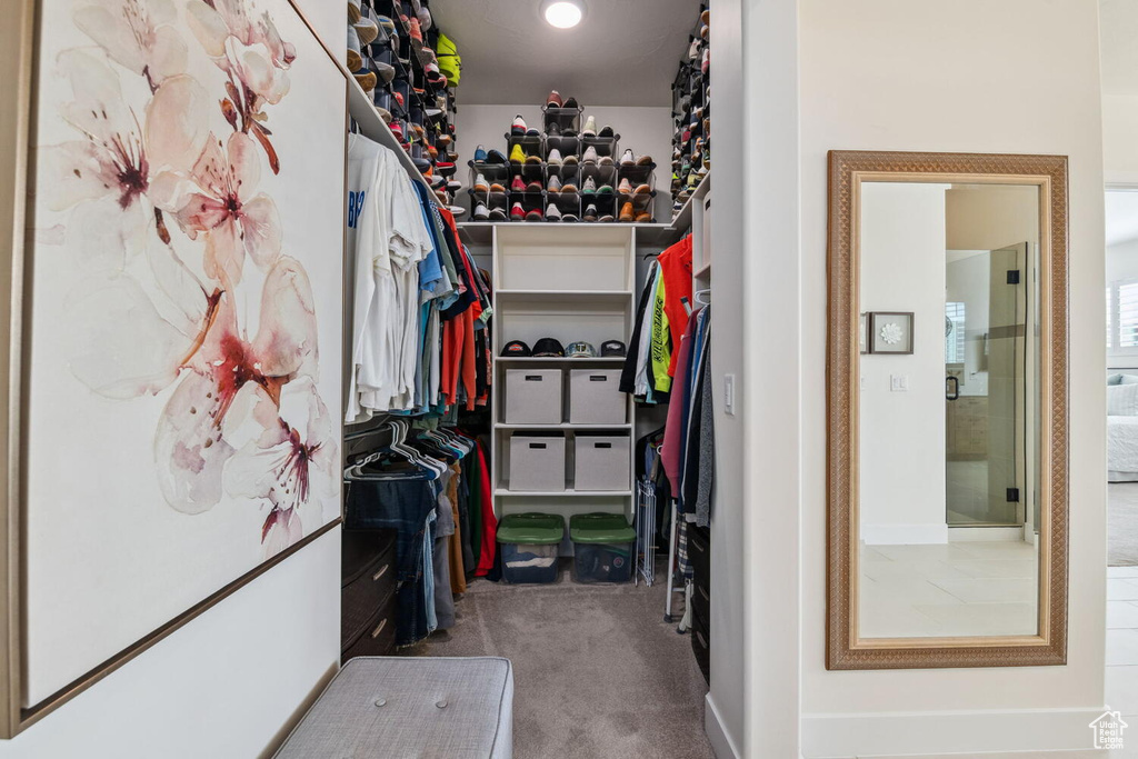 Spacious closet featuring carpet floors