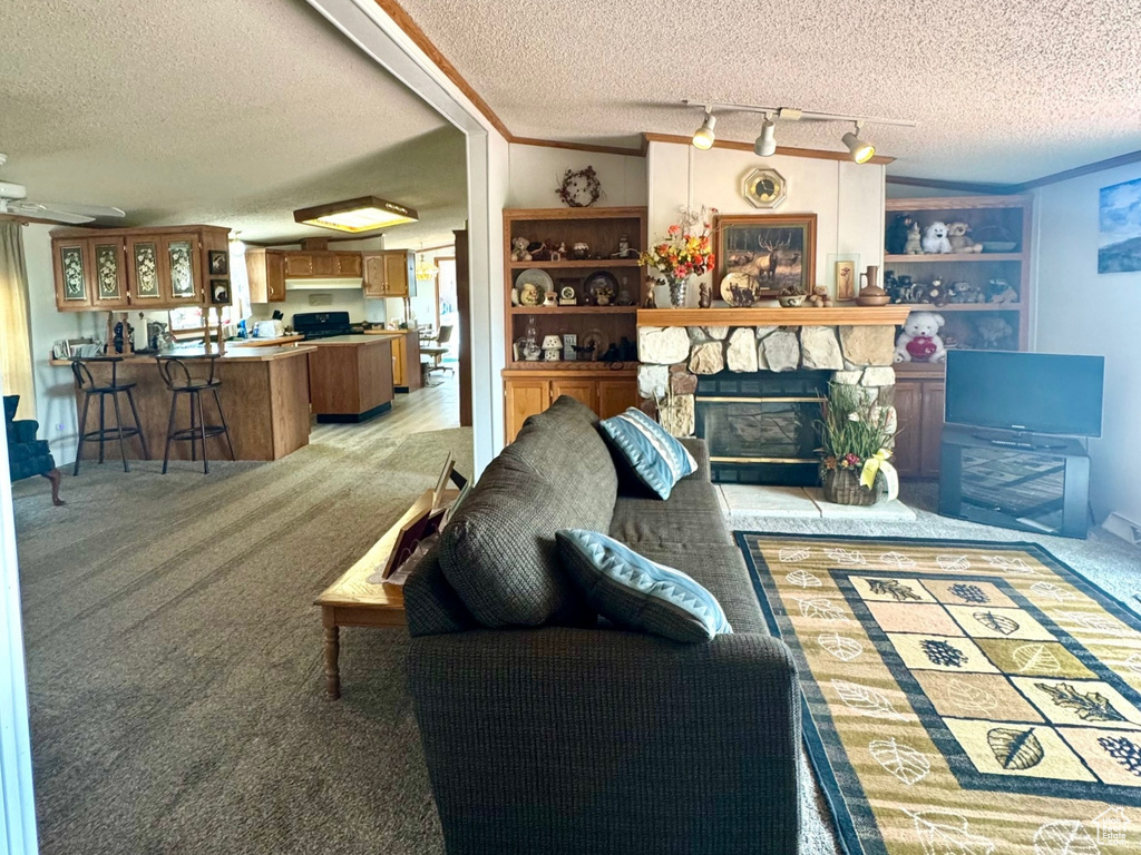 Carpeted living room featuring a textured ceiling and a fireplace