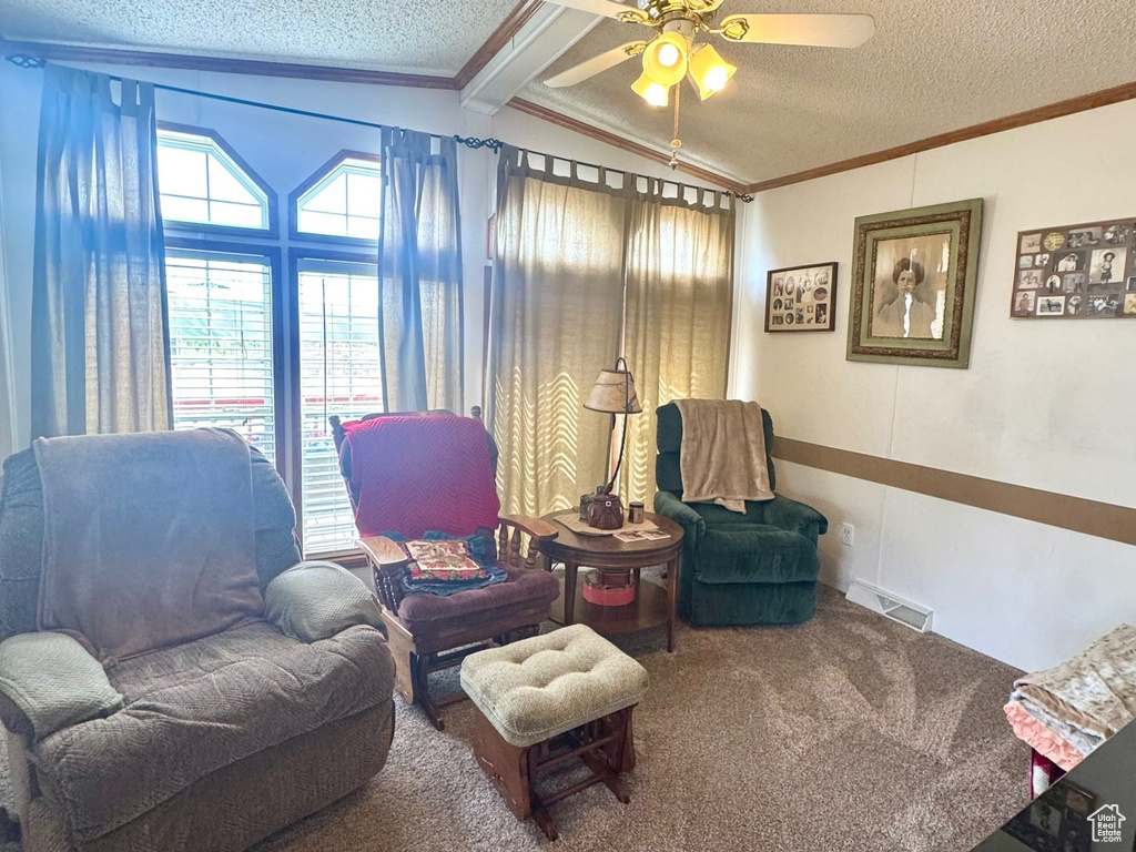 Carpeted living room featuring a textured ceiling, healthy amount of natural light, a ceiling fan, and ornamental molding