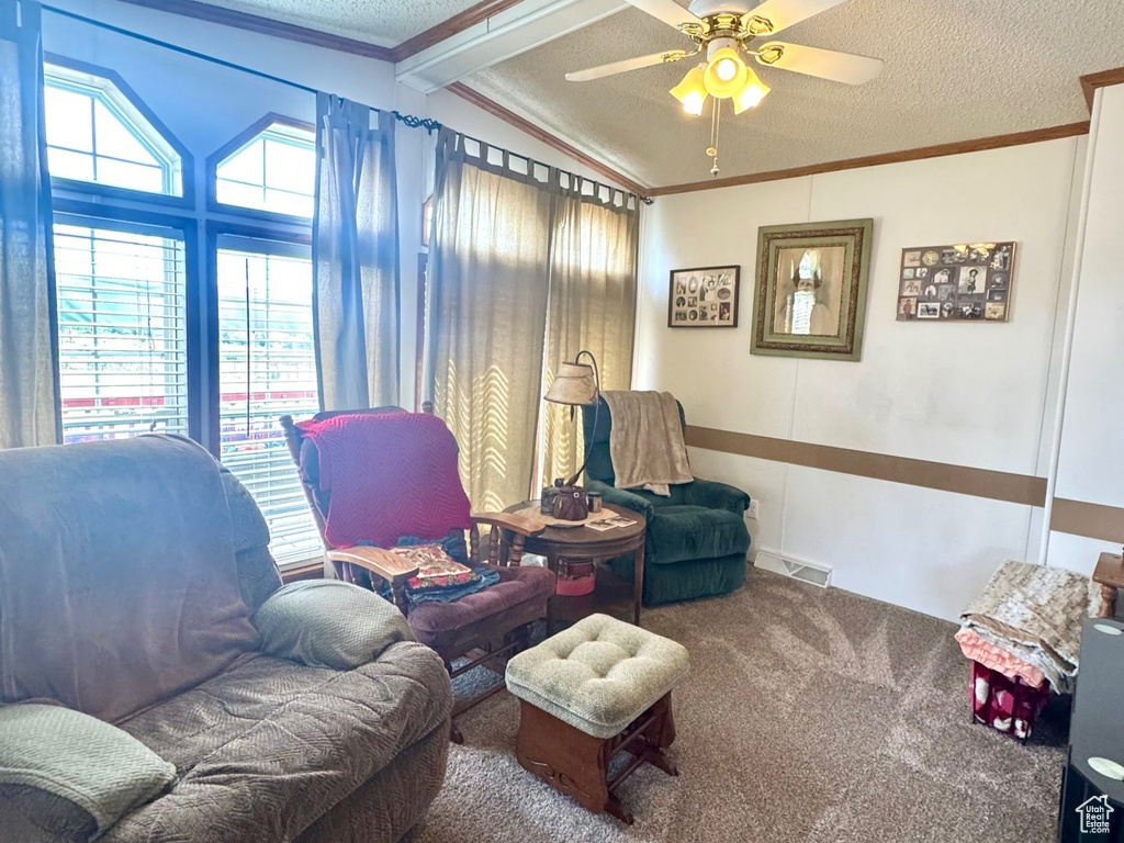 Carpeted living area featuring a textured ceiling and ceiling fan