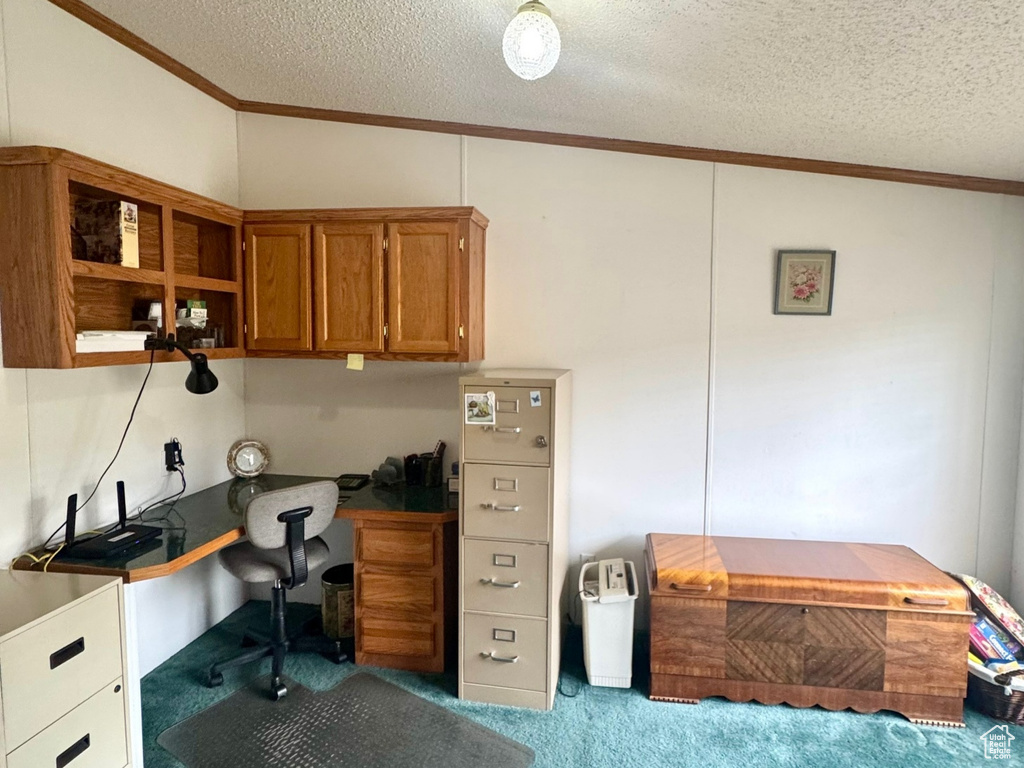 Carpeted office space featuring ornamental molding, built in study area, and a textured ceiling