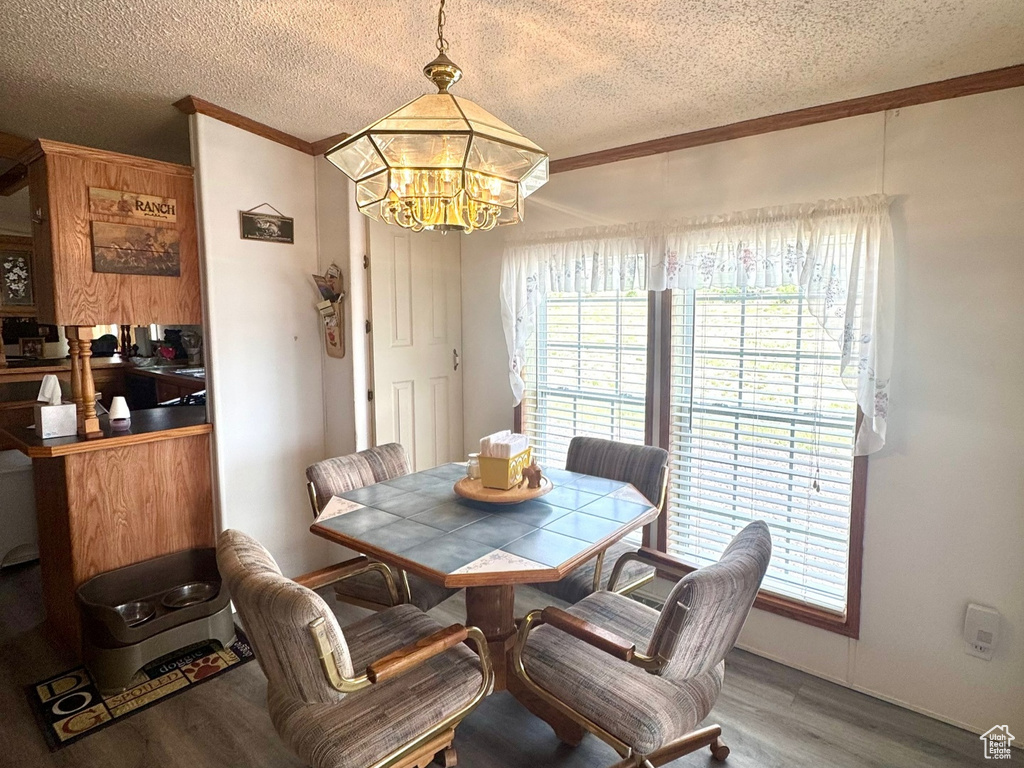 Dining space featuring a chandelier, wood finished floors, plenty of natural light, ornamental molding, and a textured ceiling