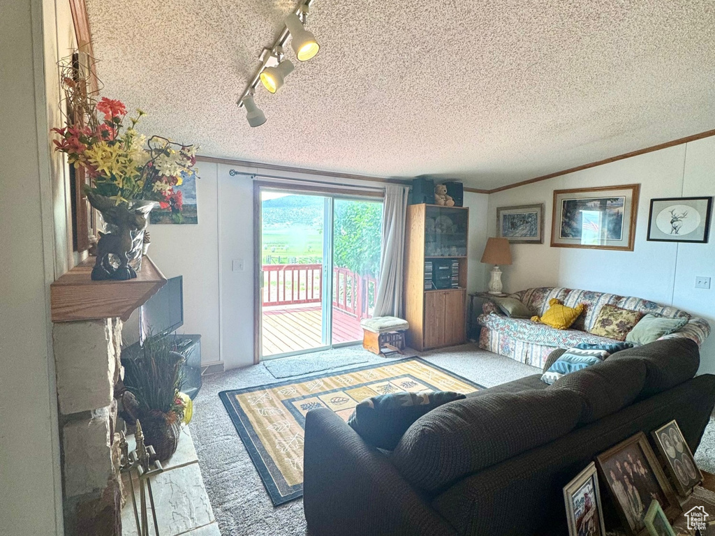 Carpeted living area featuring a textured ceiling