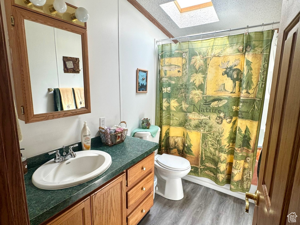 Bathroom with ornamental molding, a skylight, a textured ceiling, vanity, and a shower with shower curtain