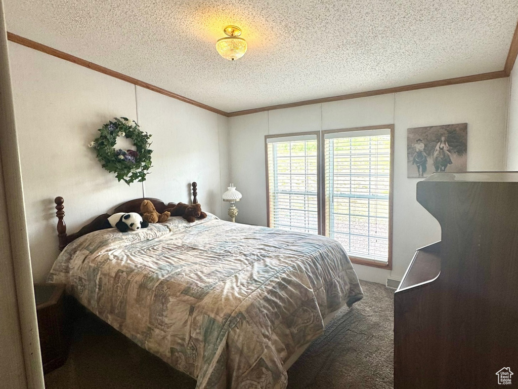 Carpeted bedroom with crown molding and a textured ceiling
