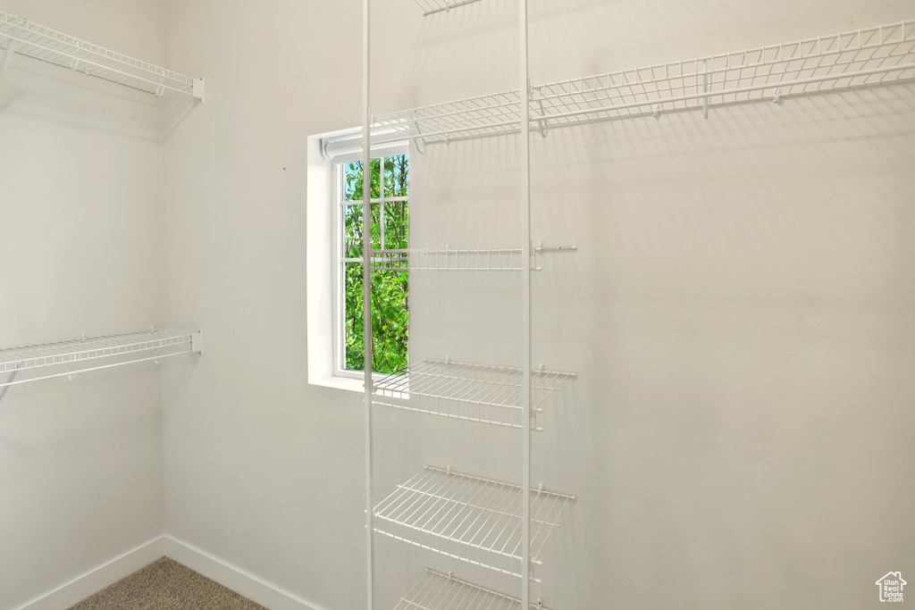 Spacious closet featuring carpet floors