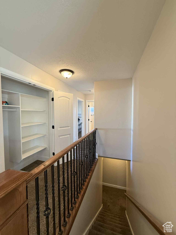 Stairs with baseboards and carpet floors
