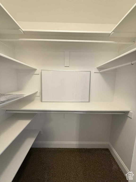 Spacious closet with dark carpet