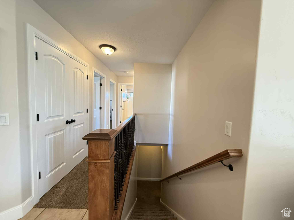 Staircase featuring carpet flooring and tile patterned flooring
