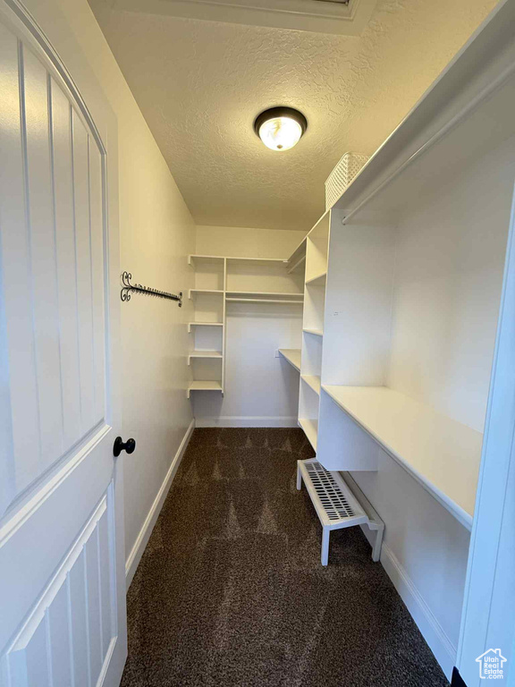 Walk in closet with dark colored carpet