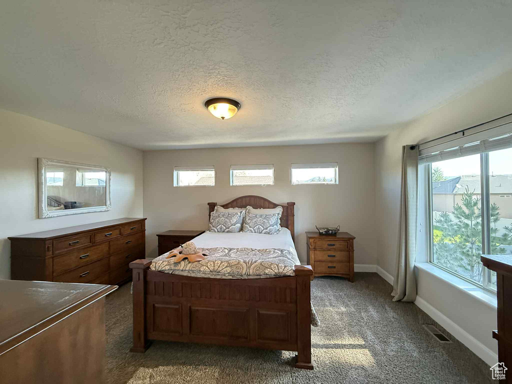 Carpeted bedroom featuring multiple windows and a textured ceiling